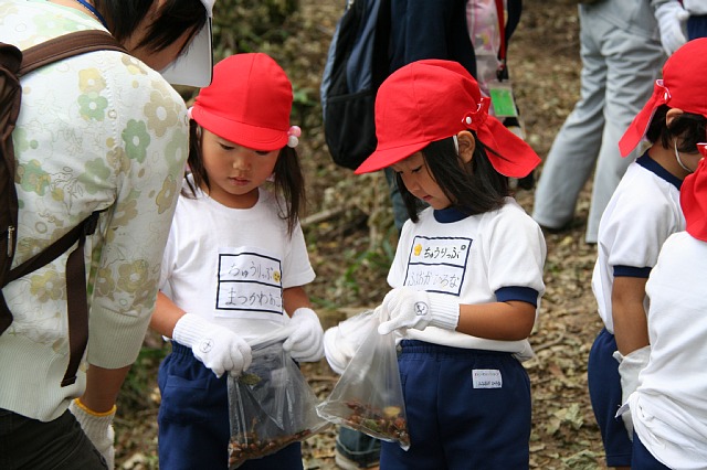 �M�M�R�P�[�u���n�C�L���O