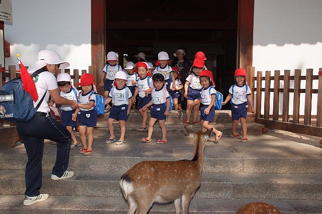 �H�̉����啧�a