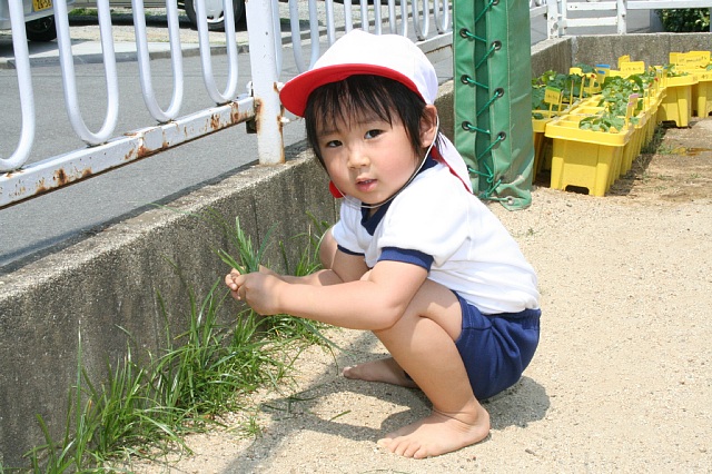 Photo/Seiko��Home�Ǘ��l